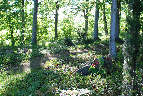Højskov med grave i skovbunden. Høsterkøb Kirkegård. Foto: Susanne Guldager