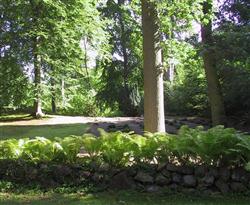 Skovkirkegården er populær, men også en udfordring for fremtidens kirkegårde. Skovkirkegården ved Psykiatrihospitalet i Nykøbing Sjælland. Foto: Susanne Guldager
