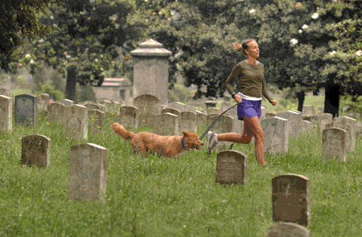Oakland Cemetry i Atlanta, USA fungerer både som park og kirkegård. Foto: Joey Ivansco