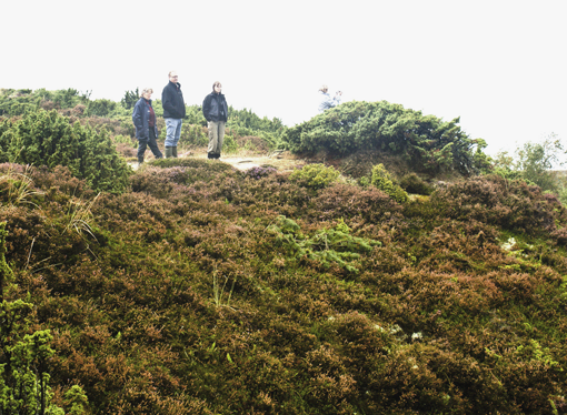 Figur 2. Vegetationsdækket er ofte slidt på toppen af udsigtspunkter, mens det er intakt på siderne. Foto: Peter Wind