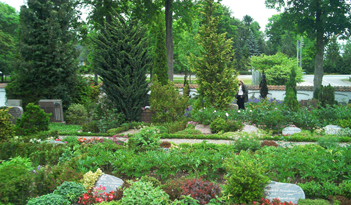 Dobbeltrække af kistegravsteder på Greve Kirkegård omdannet til urnegravesteder med fælles beplantning i midten. Foto: Christian P. Kjøller