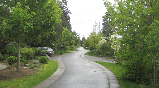 En gade i Seattle planlagt efter SEA-princippet: En smallere slynget gade med fortov og regnvandsbede. Foto: Antje Backhaus