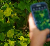 Byhøst har modtaget midler fra "Puljen for Grønne Ildsjæle", til at udvikle en mobil app.