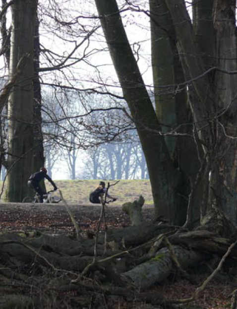 Mountainbikere ved træstamme