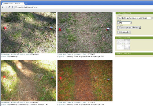 Figur 1: Slitageforsøgets billeddatabase (www.friluftseffekter.dk/fviewer). I panelet til højre angives søgekriterier. Der kan vises op til fire billeder af gangen i rammerne til venstre. Databasen og hjemmesiden fungerer både på dansk og engelsk.