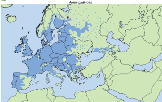 Kort over rødels udbredelse i Europa