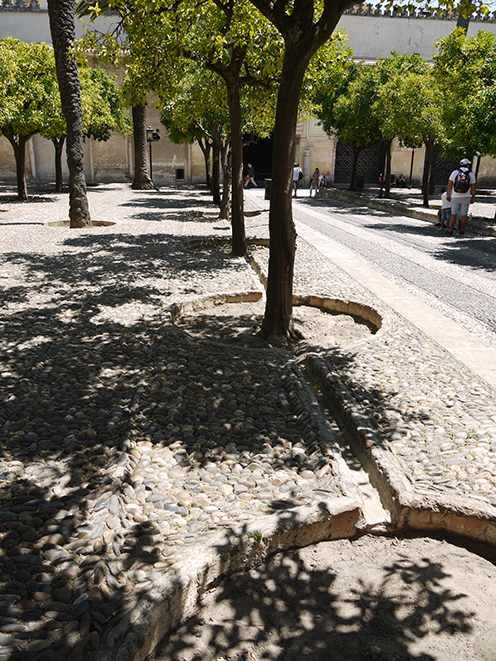 Vandingssystem til træer i Patio de los Naranjos, Spanien. Foto: Rasmus Dragenberg