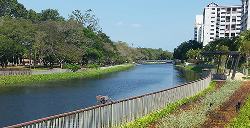 I Singapore har grønne områder med nedsivnings- og rensningsmuligheder erstattet de tidligere flodbredder af beton langs Sungei Tampines. Nye stier giver beboerne mulighed for at komme tættere på floden. Foto: PUB, Singapore’s National Water Agency