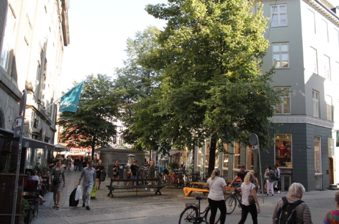 Træet i byen er en del af et samlet miljø og vurdering af denne sammenhæng indgår i VAT03-beregningen. Her lindetræer i Kejsergade i København, 2016. Foto: Jan Støvring.