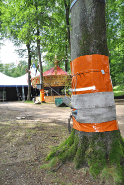 Remme om træ som forankring for telt