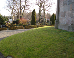 Næsten halvdelen af kirkegårdsarealet ligger i sogne med byområder med mellem 200 og 4.999 indbyggere. Grønbæk kirkegård ved Viborg.