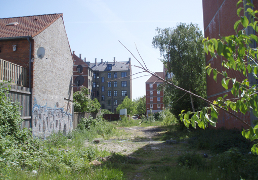 Restarealer i byen kan bidrage til den kompleksitet og biodiversitet, vi taler så meget om.