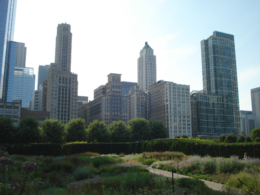 Gennem parker som Millennium Park og massivt træplantning har Chicago styrket sit grønne brand. Foto: Cecil C. Konijnendijk
