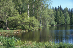 Skovparken Aulanko i Tavastehus i Finland. Nationalstadsparkerne i Finland fungerer som økologiske korridorer, der strækker sig fra byernes centrum til f.eks. naturområder uden for byen.
