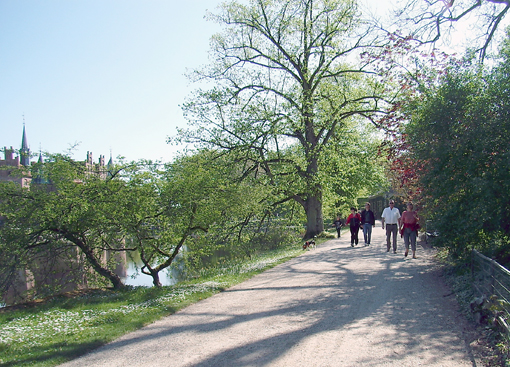 Mennesker motiveres og engageres ved at varetage opgaver, der opfattes som interessante eller noget særligt. I et grønt udbud kan det fx handle om, at en opgave er forankret i lokalsamfundet gennem forskellige brugergrupper. Foto: Inger Grønkjær Ulrich