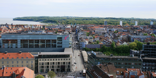 Udsigt over den sydlige del af Århus og Maseliesborg-skovene. Foto: Marie Stenild