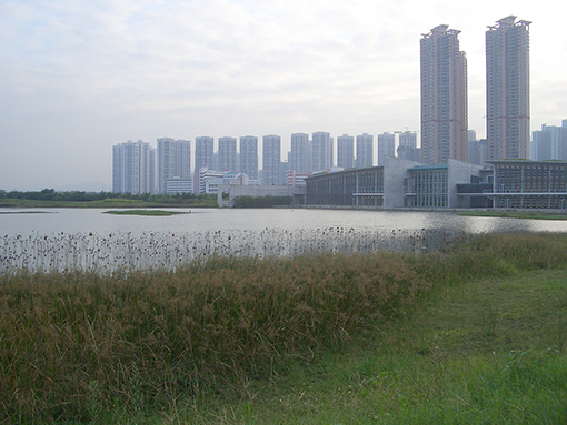 Næsten 70 % af Hong Kong består af arealer med naturlig vegetation, og hele 40 % af det samlede areal er udlagt som beskyttede områder. Byen har dermed et godt udgangspunkt for at markedsføre sig som en grøn metropol. Foto: Chung-Shing Chan