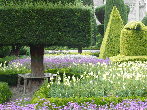 Levens Hall med sine op til 300 år gamle klippede buksbom og taks er blot en af de over 3.500 haver i England listet i »The Yellow Book«. Foto: Bibi Lisbet Edinger Plum