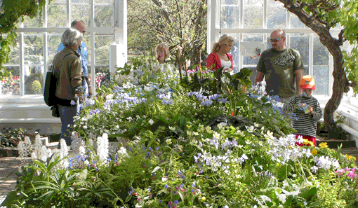 Helsingborg Stad har skabt en stor attraktion ud af Sofiero. Foto: Bibi Lisbet Edinger Plum