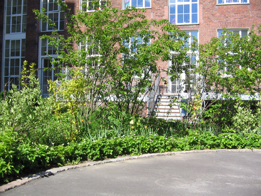 Denne beplantning er både rumdelende og kan bruges i fange- og gemmelege. Samtidig byder bl.a. jordbærplanter på forskellige sanseoplevelser. Foto: Anne Dahl Refshauge