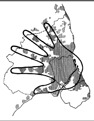 Fingerplanen er et stykke planlægnings- og landskabskunst, der utvivlsomt har gjort Hovedstadsregionen anderledes end andre storbyregioner.