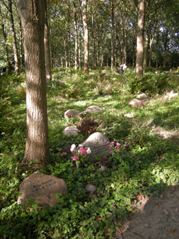 Skovkirkegården og et naturligt udtryk er igen blevet en trend. Her er det Birkholm Kirkegård i Herlev. Foto: Susanne Guldager