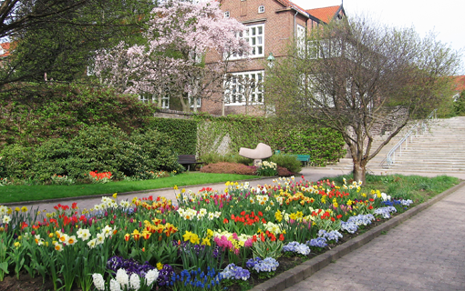 Velholdte beplantninger imellem husene og de ældre smukke bygninger har stor betydning for tilfredsheden med udearealerne på Bispebjerg Hospital. Foto: Shureen Faris