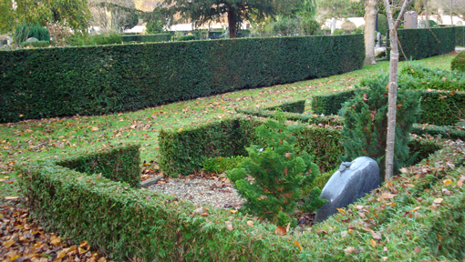 Lave hække indrammer de enkelte gravsteder, og højere hækker samler gravstederne i en overskuelig enhed. Assistens Kirkegård, København. Foto: Tilde Tvedt