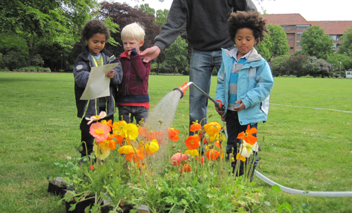 En boligforening på Frederiksberg deltager i tilplantning af bede med sommerblomster, som de også vander og passer. Foto: Karsten Klintø