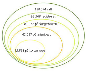 Figur 1. Antal vejtræer registreret til forskellige niveauer.