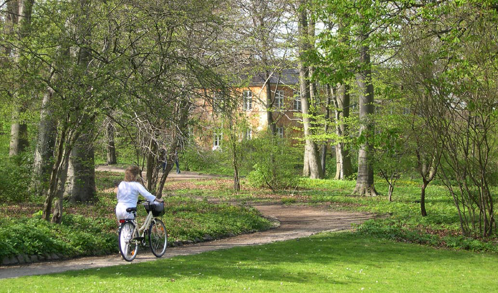 I Frederiksberg Have findes mange skovagtige bevoksninger, hvor de rekreative, æstetiske og landskabelige værdier er afgørende for udviklingen af plantningerne. Foto: Jens Balsby Nielsen.