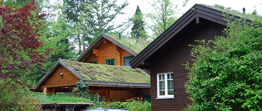 Villakvarter med grønne tage, Wohldorf-Ohlstedt, Hamborg. Foto: Lotte Fjendbo Møller