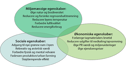 Grønne tage kan fremme bæredygtig byudvikling på mange måder.