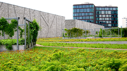 Semi-intensivt tag, Rigsarkivet, København. Foto: Lotte Fjendbo Møller