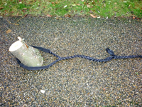 Figur 2. Forankring af en dynamisk brudsikring med beskyttelsessok mod skureskader på reb og stamme. Foto: Oliver Bühler