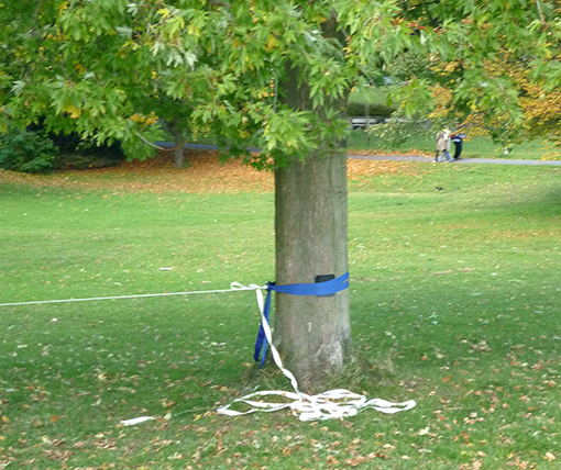 Slackline, fastgjort til træet med minimal stammebeskyttelse. Foto: Oliver Bühler