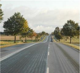 Den afviklende strategi: Roskilde–Ringsted landevej, bestående af ær, plantet med 50 m´s afstand. Her er det oplagt at anvende en afviklende strategi, hvor man udvikler store markante landevejtræer.