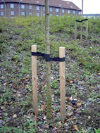 To-pæls opbinding i lav højde med to opbindingsstropper med mellemstykker. Den lille afstand mellem pælene indikerer at der er tale om barrodstræer. De korte stropper betyder, at der er en god fastholdelse af træet.