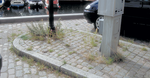 Forbruget af pesticider falder fortsat, men ikke så meget som tidligere. Tilbage står de områder, hvor det er sværest at erstatte pesticider med andre metoder. Foto: Palle Kristoffersen