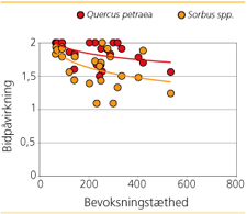 Fig. 1. Bidpåvirkning på eg og alm. røn ved lavt græsningstryk. Bidpåvirkningen aftager med stigende bevoksningstæthed ved det lave græsningstryk. Bidpåvirkning er angivet som gennemsnit fra 4 års registreringer (2004-2007) målt på en firetrins skala; 0= ingen bid, 0,5=let bid af knopper og tynde kviste, 1=middel bid af knopper og kviste; 2=stort set alle knopper og kviste er ædt.