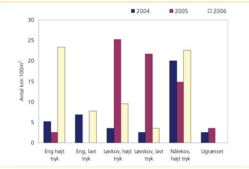 Fig. 3. Antal kimplanter per 100 m2 i løvskov og nåleskov ved lavt og højt græsningstryk samt i ugræsset nåleskov efter hhv. 1. 2. og 3. græsningssæson. Den græssede og ugræssede nåleskov er meget lysåben efter stormfald. Kimplanter af glansbladet hæg, der lokalt er registreret i meget højt antal i forbindelse med et ældre hæghegn, indgår ikke i figuren. 