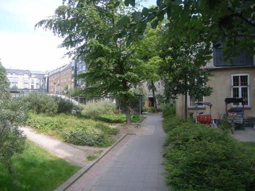 En blanding af nye og gamle planter giver en frodig ankomst til gårdanlægget i Hedebygade. Foto: Sødde Clemensen