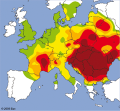 Udbredelse af pollen i Europa 2008 (www.polleninfo.org)