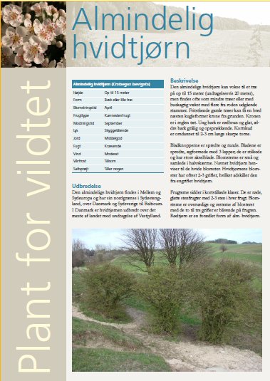 Hver af de anbefalede og tilskudsberettigede arter er beskrevet på to sider med billeder og oplysninger om udbredelse, udseende og karakteristika, samt oplysninger om de anbefalede danske frøkilder, der findes på markedet.