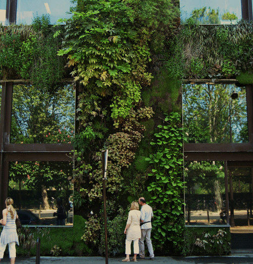 I udlandet er der mange eksempler på variation og nytænkning af samspillet mellem plan - ter og facader. Her er det Quai Branly Museet i Paris, tegnet af den franske arkitekt Jean Nouvel, hvor pioneren inden for living walls, biologen Patrick Blanc har lavet den grønne facade. Plantevæggen rummer 15.000 planter fordelt på 150 arter fra Japan, Kina, USA, og Centraleuropa. Foto: Marie Schnell