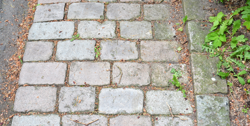 Sti med brosten på Mariebjerg Kirkegård i Gentofte. Brostenene er lagt meget præcist, og fugerne er så smalle, at ukrudtet kun har ganske lidt plads at vokse på. Foto: Palle Kristoffersen