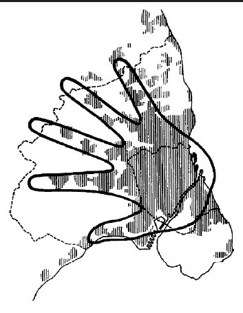 Fingerplanen er et stykke planlægnings- og landskabskunst, der utvivlsomt har gjort Hovedstadsregionen anderledes end andre storbyregioner.