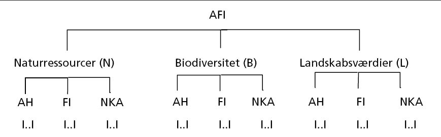 Figur 1: De tre hierarkiske niveauer i AFI-strukturen. Andet niveau udgøres af Arealanvendelse og Husdyrhold (AH), Fysisk Infrastruktur (FI) og Natur- og Kulturarealer (NKA). I..I står for indikatorer for hvert fokusområde.