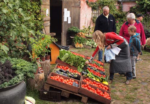 Nogle enkelte social farms som fx Saxenhøj ved Saxkøbing og Grantoftegård i Ballerup har fungeret i mere end 20 år, men udviklingen går i retning af stadig større interesse for denne type landbrug, og inden for for de seneste 10-15 år er der kommet nye til som fx Fuglebjerggård ved Helsinge og Elisabethminde ved Maribo. Foto: Ole Hjorth Caspersen. 