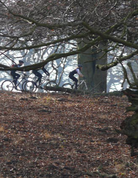 Mountainbikere i skov